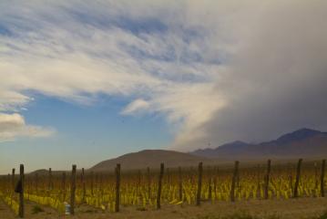 A Perfect Malbec Storm